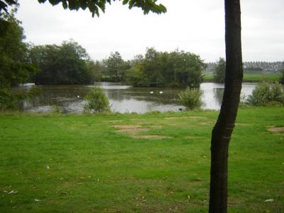 DSC00344