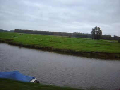 DSC00358