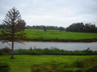 DSC00359