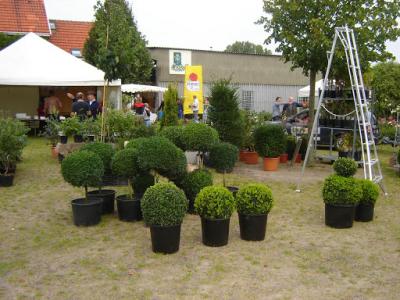 DSC08619