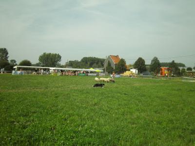 PICT0194