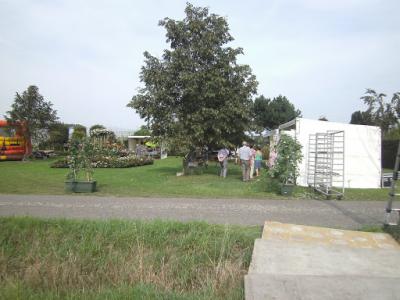PICT0205
