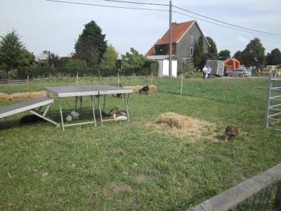 PICT0216